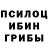 Галлюциногенные грибы мицелий Oskar Sigwart