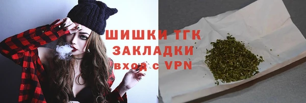соль ск Бородино