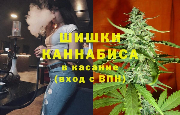 соль ск Бородино