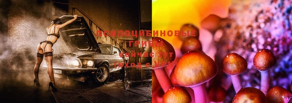 соль ск Бородино